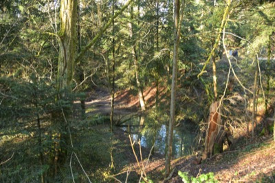Ponorsee