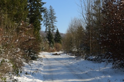 Winter_Tafeln