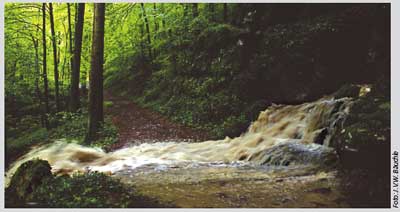 hochwasser